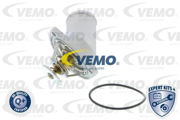Thermostat, coolant