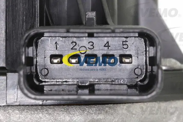 EGR Valve