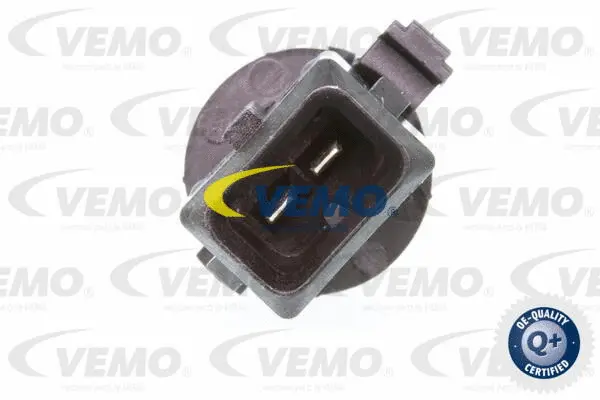 Sensor, intake air temperature