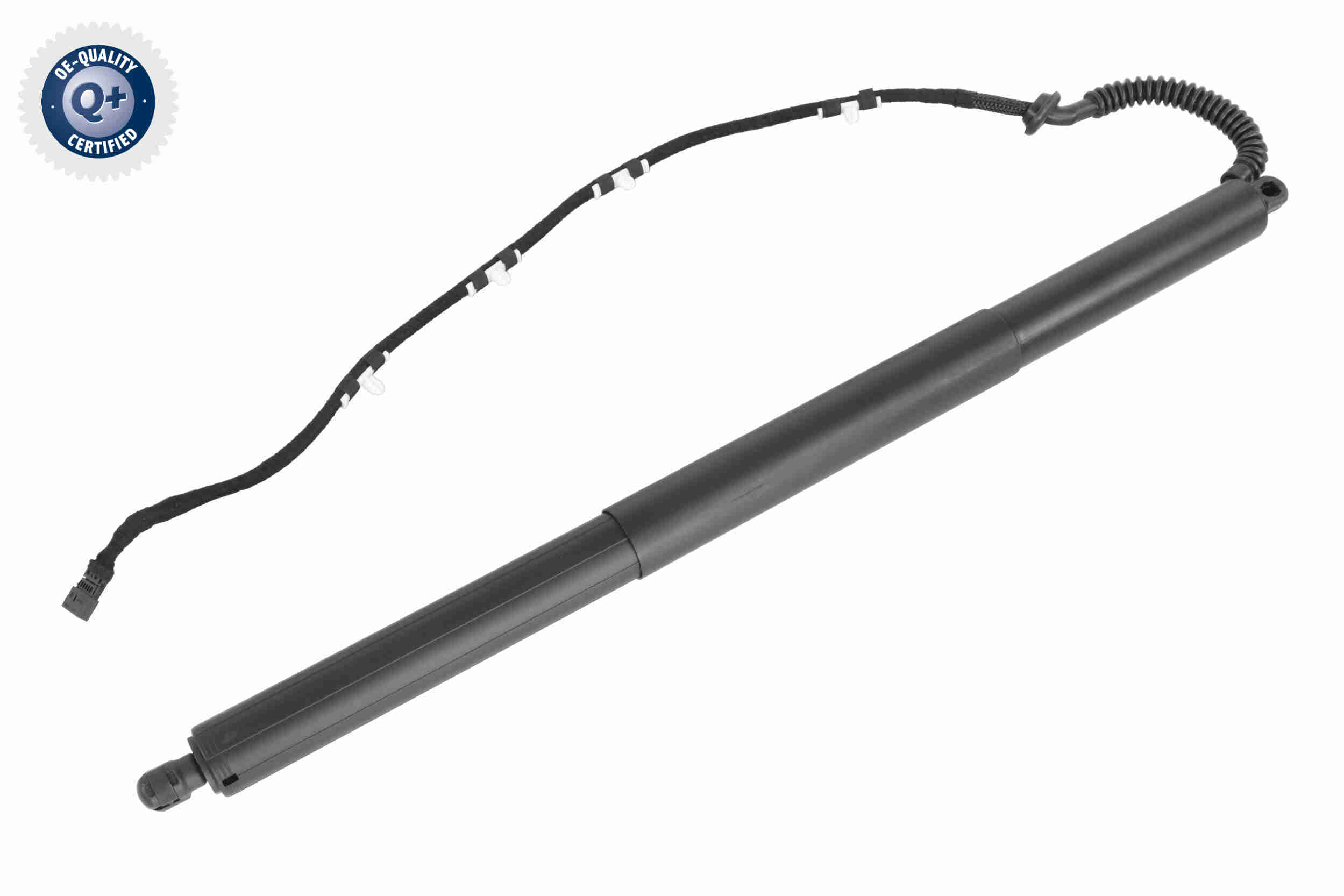 Electric Motor, tailgate