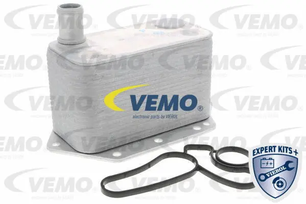 Oil Cooler, engine oil