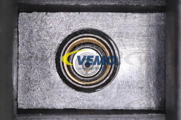 Air Spring, suspension