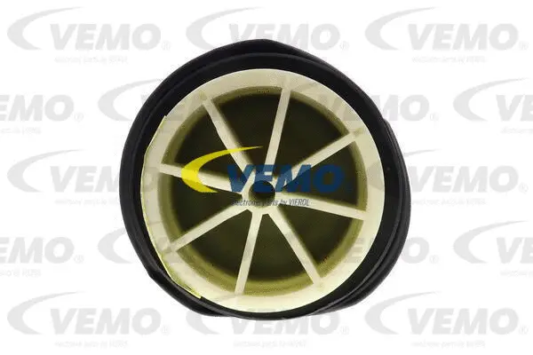 Air Suspension Strut