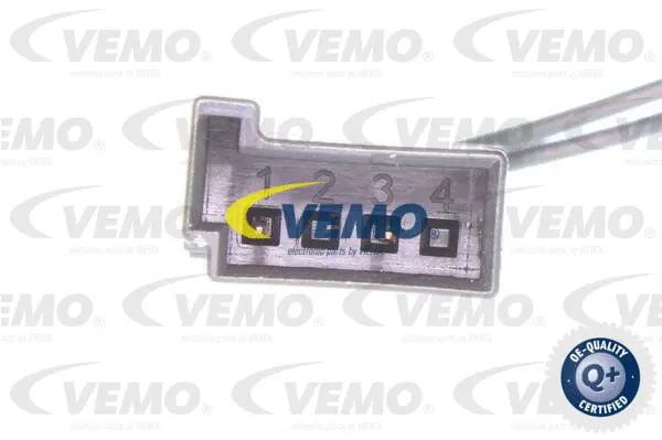 Switch, door lock system
