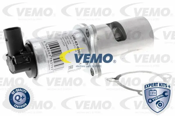 EGR Valve