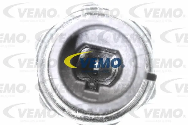 Oil Pressure Switch