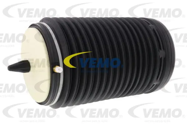 Air Spring, suspension