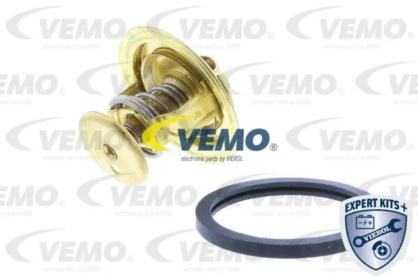 Thermostat, coolant