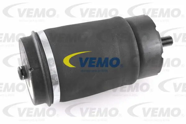 Air Spring, suspension