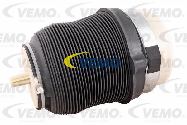 Air Suspension Strut