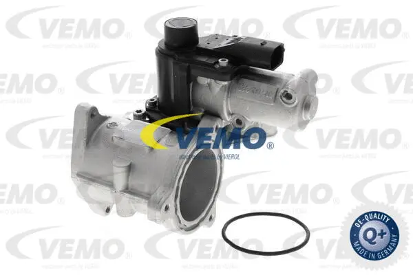 EGR Module