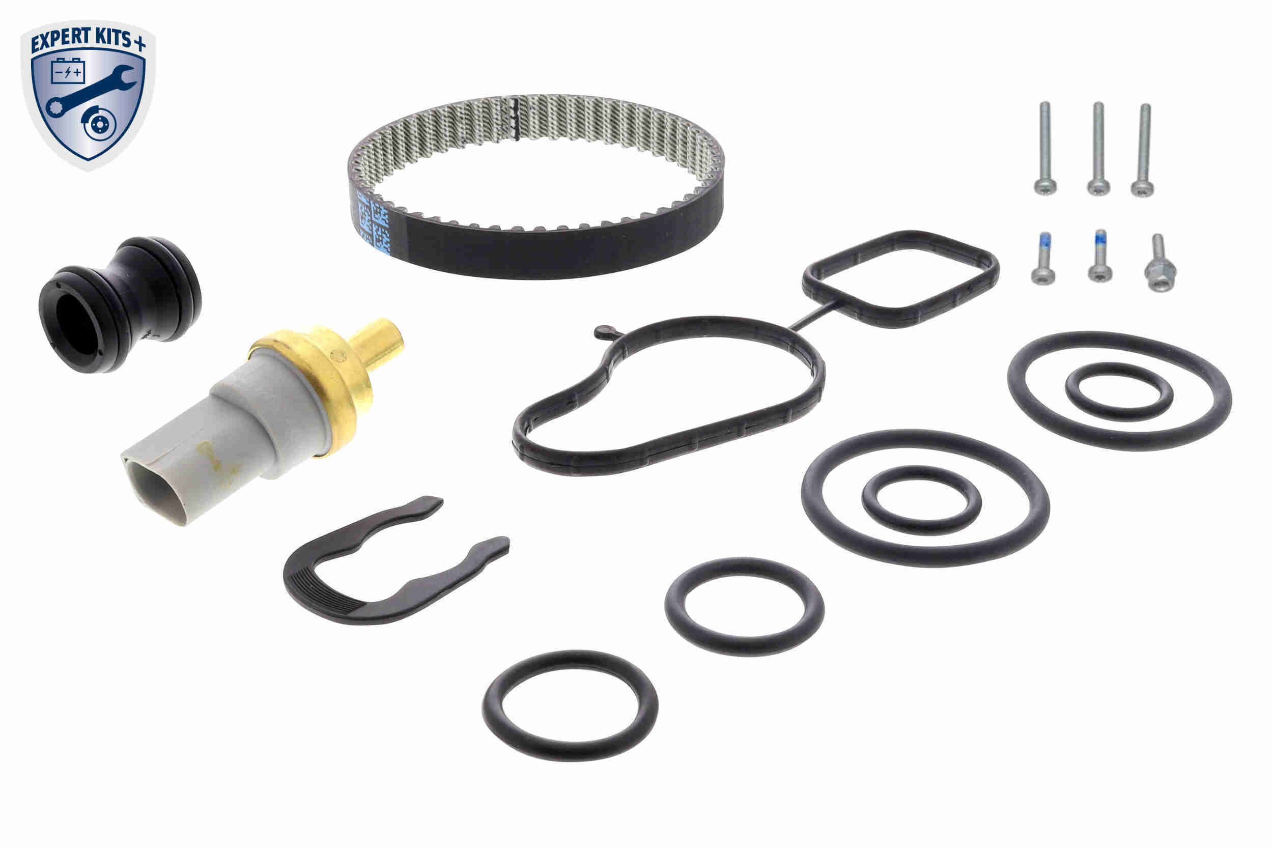 Water Pump & Timing Belt Kit