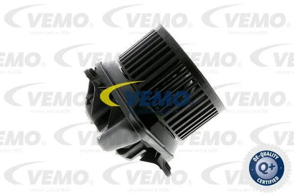 Interior Blower