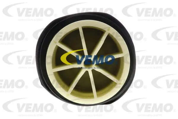 Air Suspension Strut
