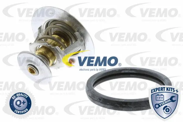 Thermostat, coolant