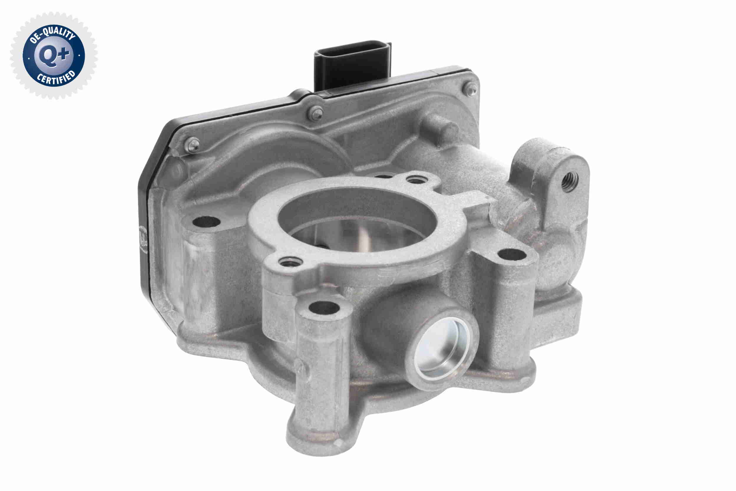 Throttle Body (V46-81-0018)