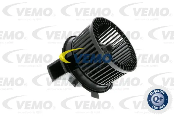 Interior Blower
