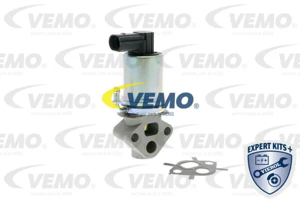 EGR Valve