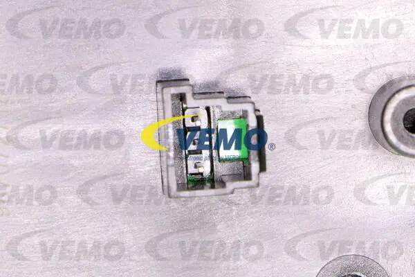 Switch, window regulator