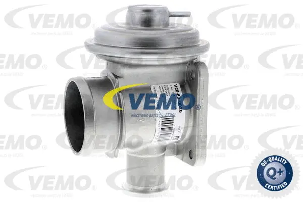 EGR Valve