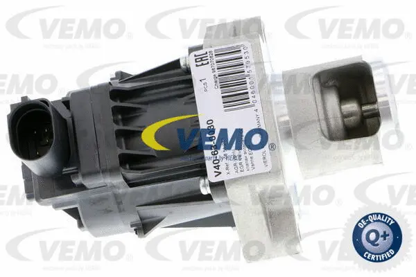EGR Valve