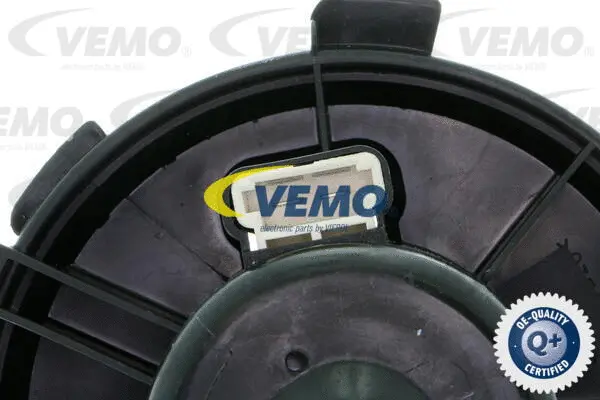 Interior Blower