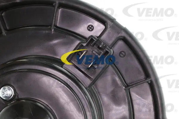 Interior Blower