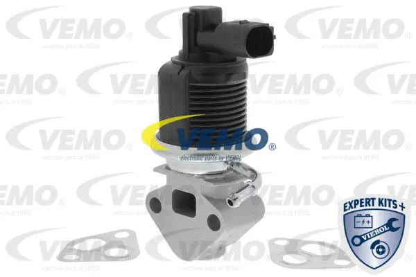 EGR Valve