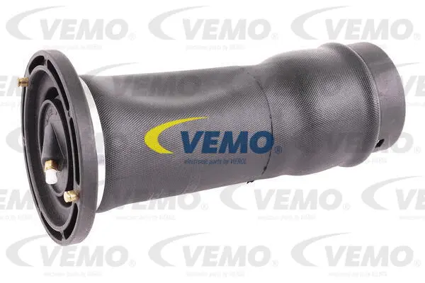 Air Suspension Strut