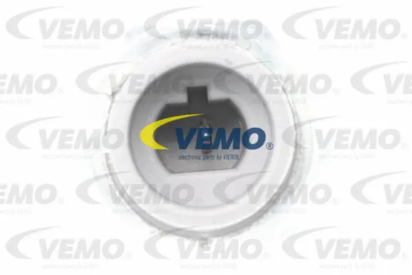 Oil Pressure Switch
