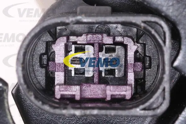 Air Suspension Strut