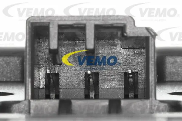 Switch, window regulator