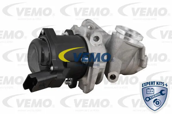 EGR valve, exhaust control