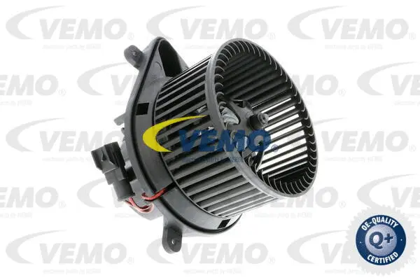 Interior Blower
