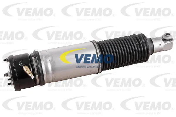 Air Suspension Strut