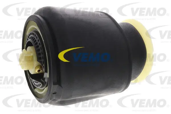Air Suspension Strut