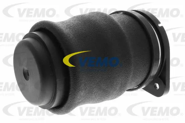 Air Spring, suspension