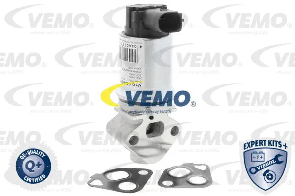 EGR Valve