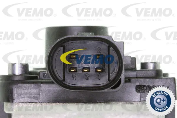EGR Valve