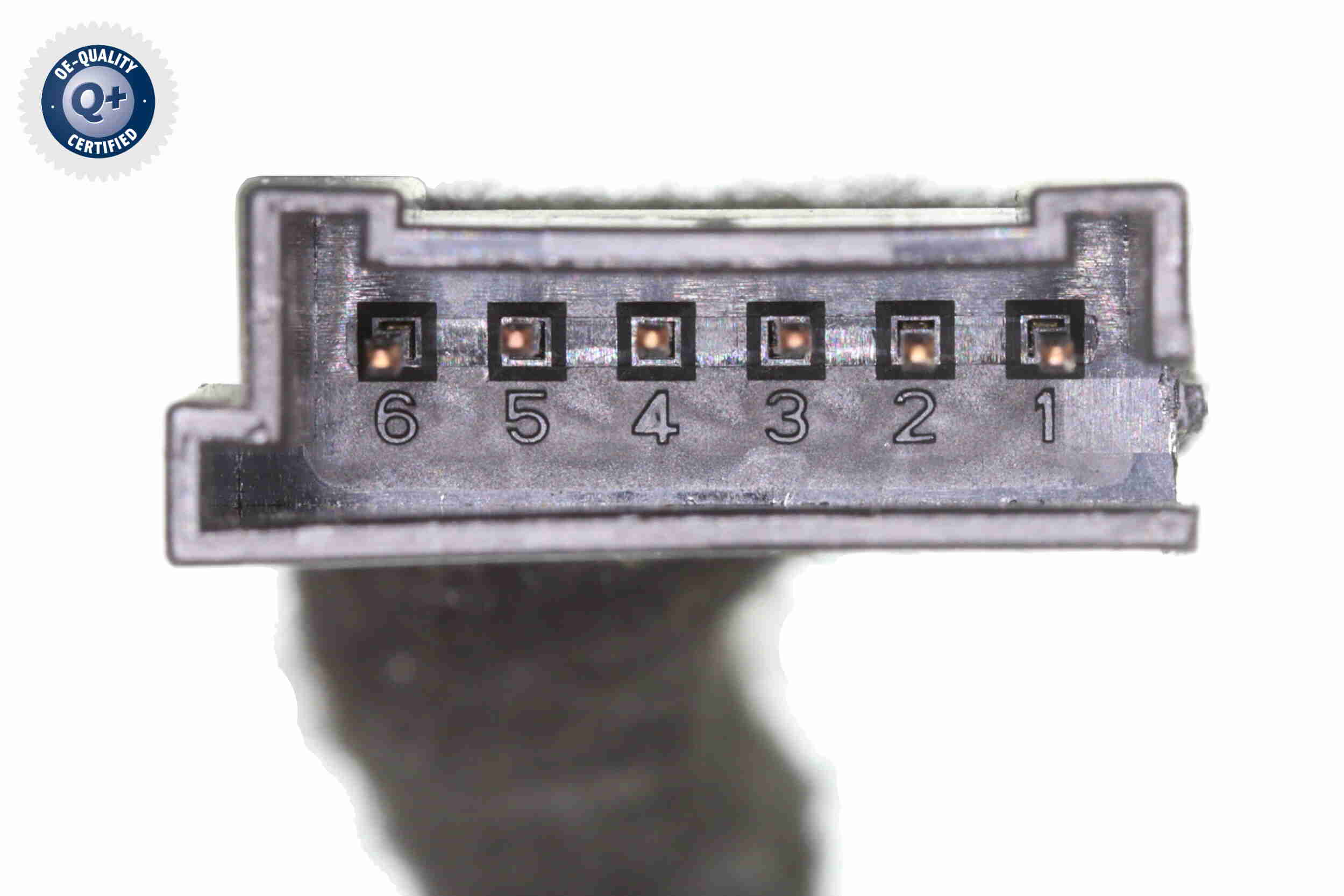 Electric Motor, tailgate