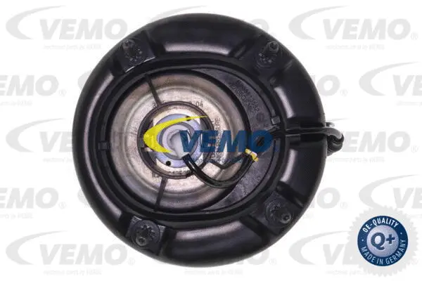 Air Suspension Strut