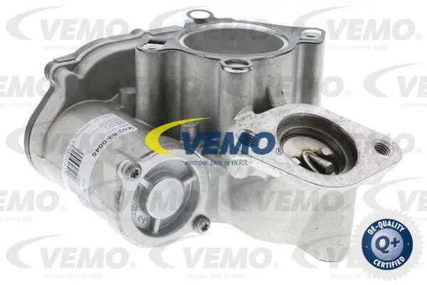 EGR Valve