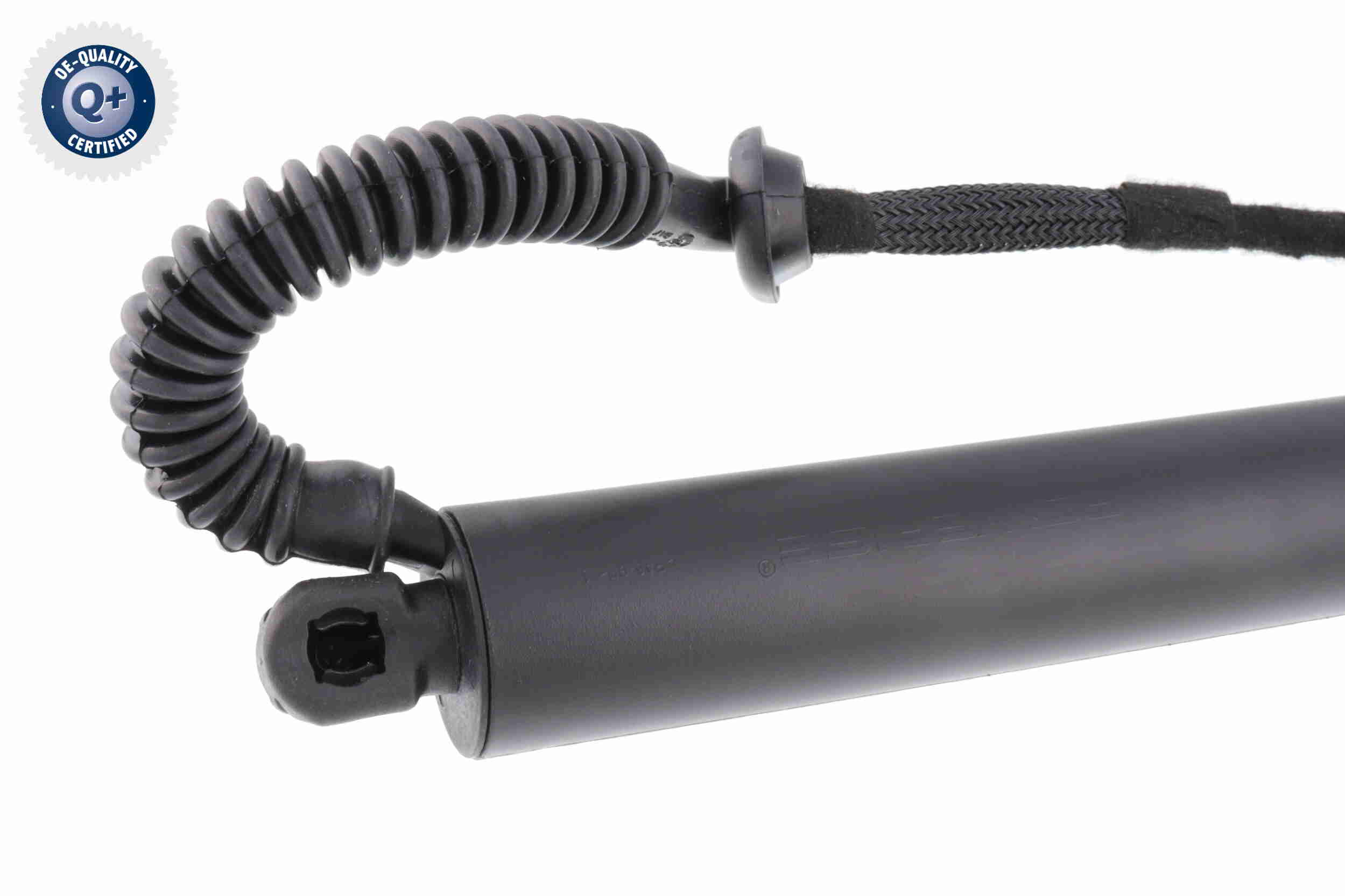 Electric Motor, tailgate