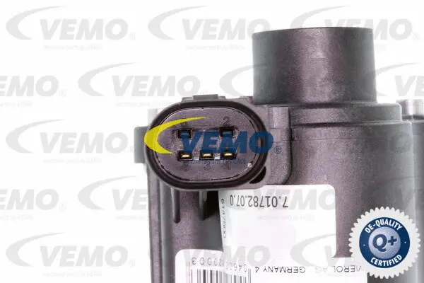 EGR Valve