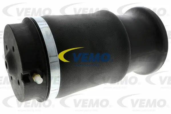 Air Spring, suspension