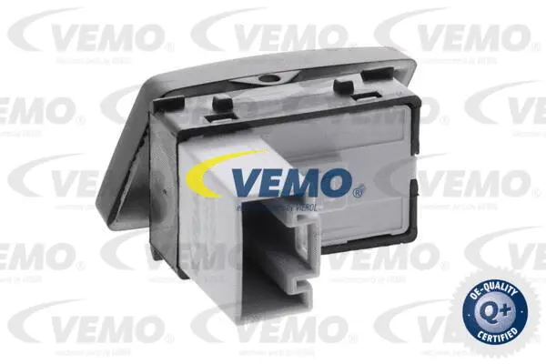 Switch, window regulator