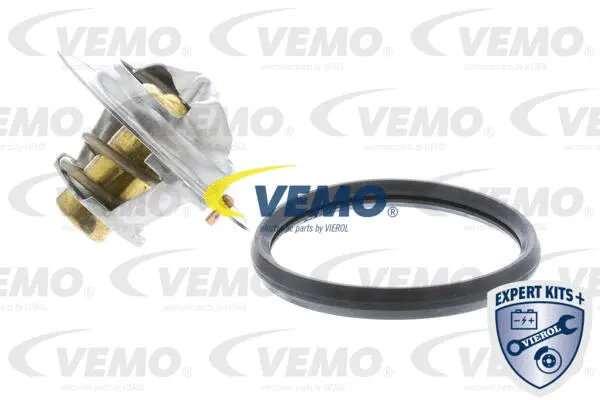 Thermostat, coolant