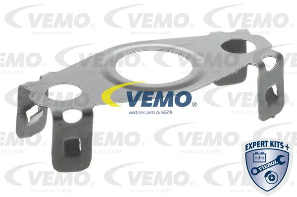 Gasket, EGR valve