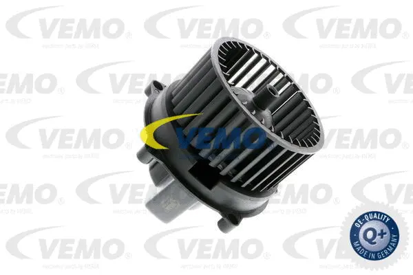 Interior Blower
