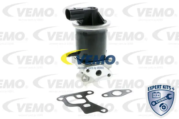EGR Valve